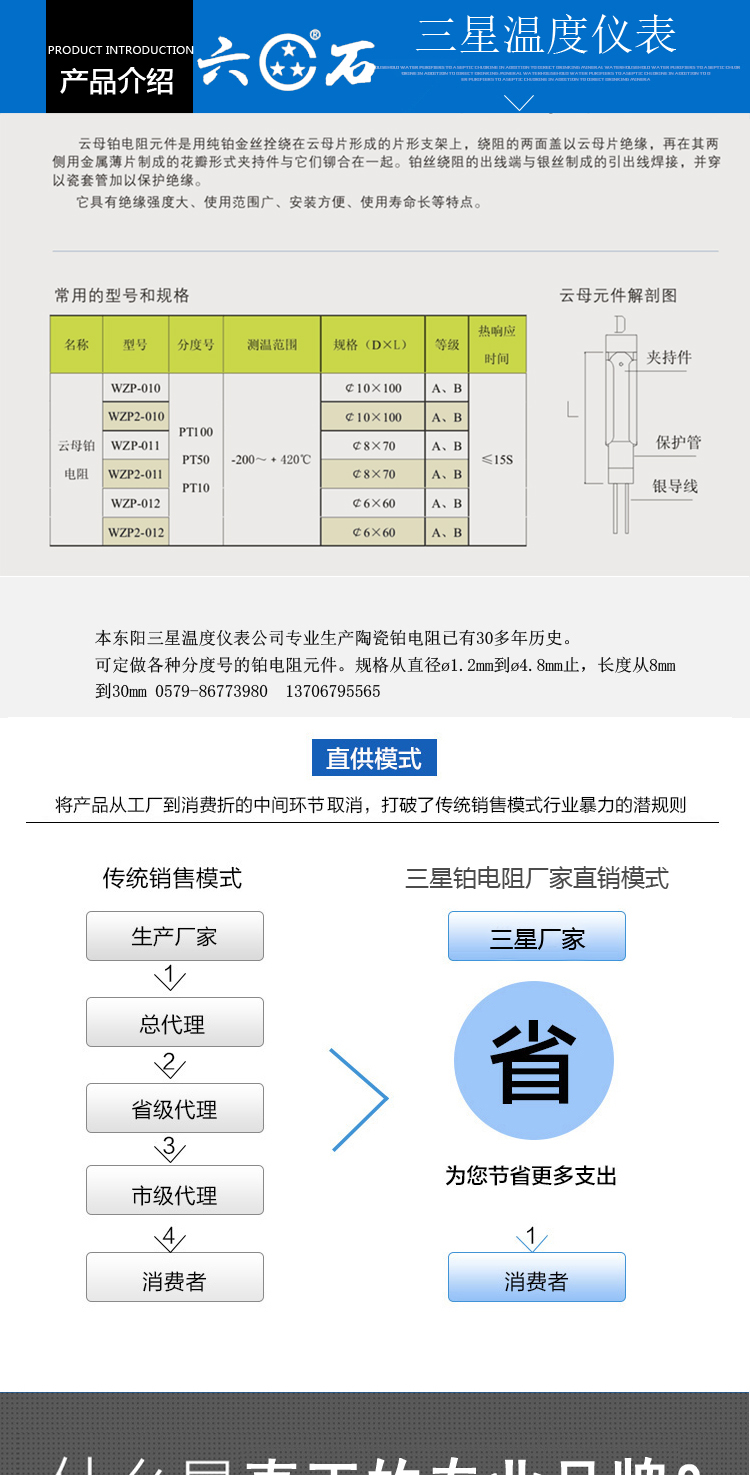 1陶瓷铂电阻系列_02.jpg